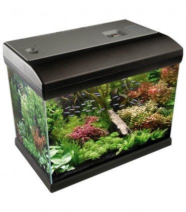 Newa Mirabello - acquario