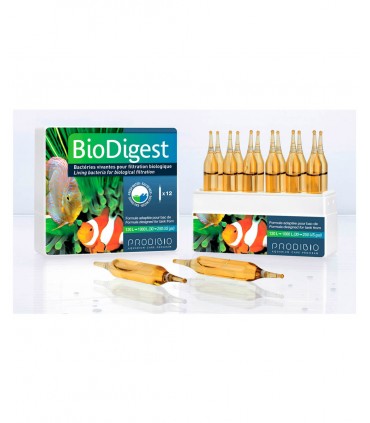 Prodibio BioDigest