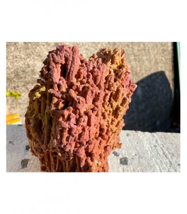 Genesi Acquari Jurassic Reef rock - box 12 kg
