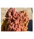 Genesi Acquari Jurassic Reef rock - box 12 kg