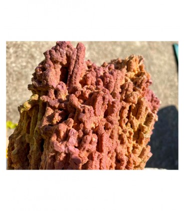 Genesi Acquari Jurassic Reef rock - box 12 kg