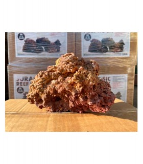 Genesi Acquari Jurassic Reef rock