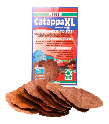 JBL Catappa XL - Foglie di catappa