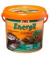 JBL Energil - Mangime di base per tartarughe