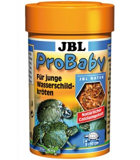 JBL ProBaby