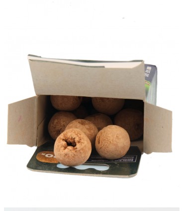 JBL PROFLORA Le 7 + 13 Sfere