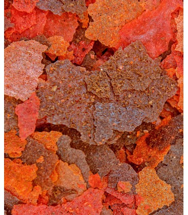 Ocean Nutrition Brine Shrimp Plus Flakes - Mangime marino