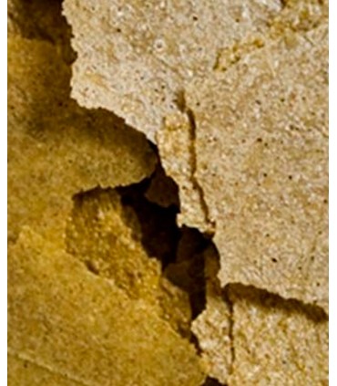 Ocean Nutrition Spirulina Flakes