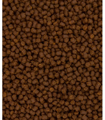 Ocean Nutrition Cichlid Omni Pellets small