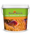 Royal Nature Royal Magnesium Chloride Powder MGCL 6H20