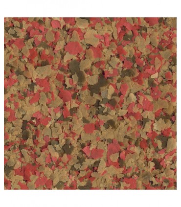 Tetra Goldfish - Mangime pesci rossi