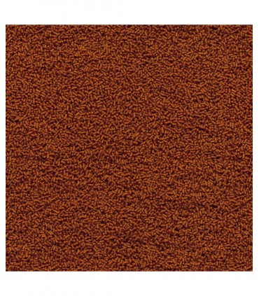 Tetra Goldfish Gold Japan - Mangime pesci rossi