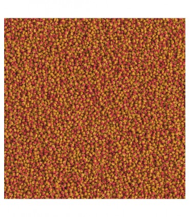 Tetra Cichlid Colour Mini - Mangime ciclidi