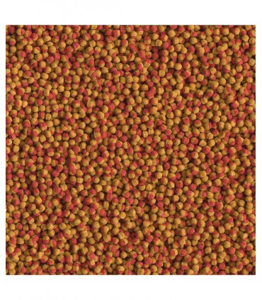 Tetra Cichlid Colour - Mangime ciclidi