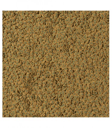 Tetra Pleco Veggie Wafers - Mangime dolce