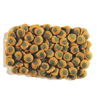 Tetra Pleco Spirulina Wafers - Mangime dolce