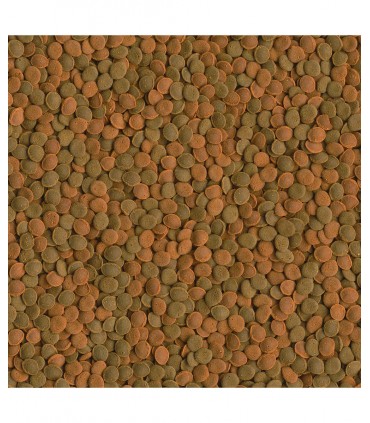 Tetra Wafer Mix - Mangime dolce