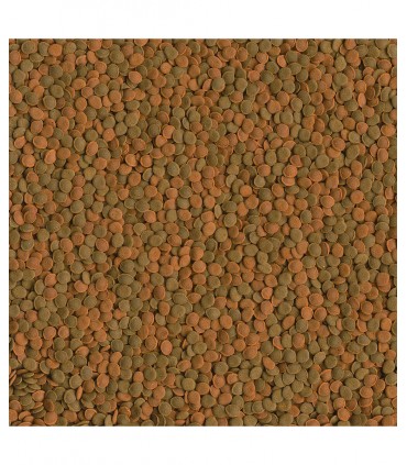 Tetra Wafer Mini Mix - Mangime dolce