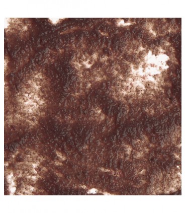 Tetra FreshDelica Brine Shrimps tubetto - Mangime dolce