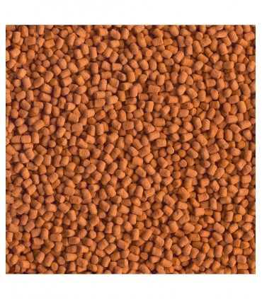 Tetra ReptoMin Energy - Mangime tartarughe