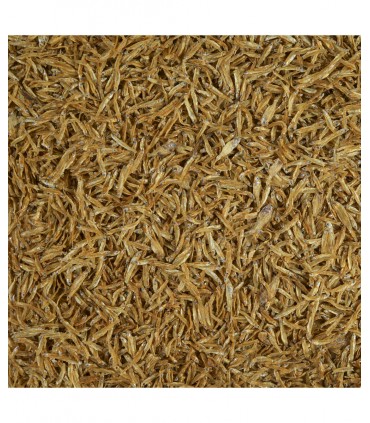 Tetra Anchovies - Mangime tartarughe