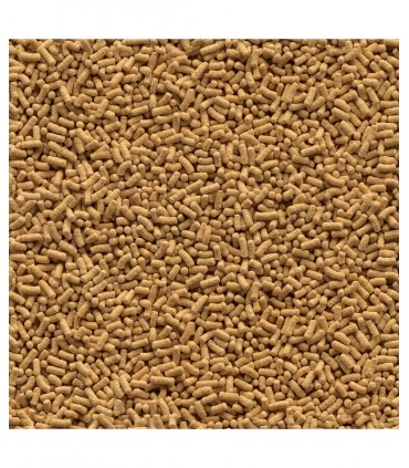 Tetra Pond Wheatgerm Sticks - Mangime laghetto