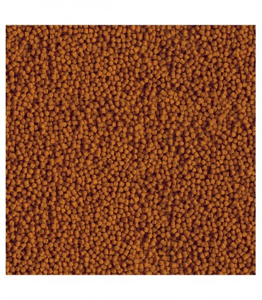 Tetra Pond KOI Mini Sticks - Mangime laghetto