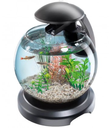 Tetra Cascade Globe