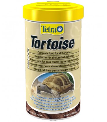 Tetra Tortoise
