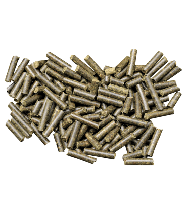 Dennerle Shrimp King Protein