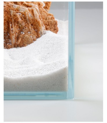 Genesi Acquari Shallow extrachiaro