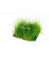 Eleocharis net 10x15cm - NE