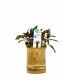 Bamboo pot M - Cryptocoryne MIX - BP