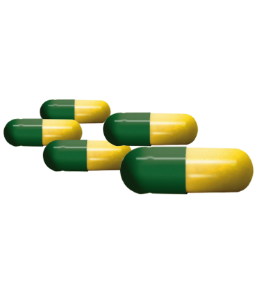 Dennerle 30 Capsule di avvio per CO2 5 pz