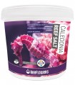 ReeFlowers Caledonia Reef Salt