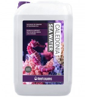 ReeFlowers Caledonia Sea Water