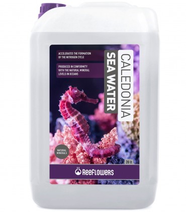 ReeFlowers Caledonia Sea Water