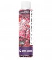 ReeFlowers Coralline Algae Accelerator