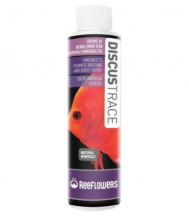 ReeFlowers Cichlid Trace