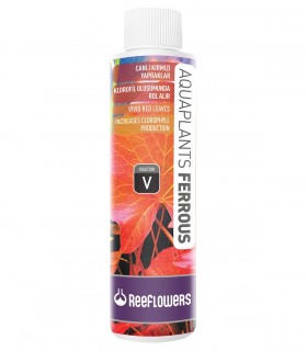 ReeFlowers AquaPlants Ferrous - V