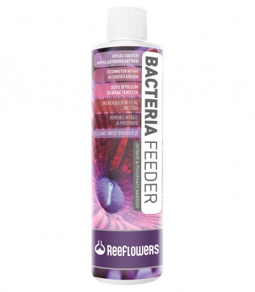 ReeFlowers Bacteria Feeder