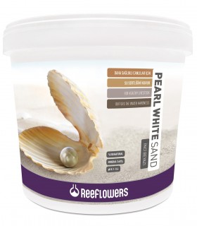 ReeFlowers Pearl White Sand