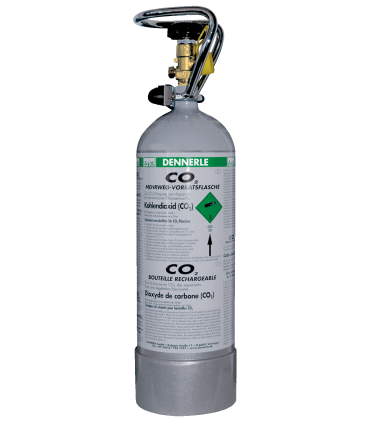 Dennerle Bombola ricaricabile 2 kg