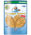 Dennerle Catappa Leaves