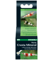 Dennerle Nano Crusta Mineral