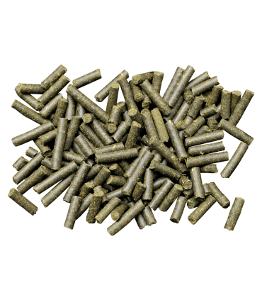 Dennerle Shrimp King Complete